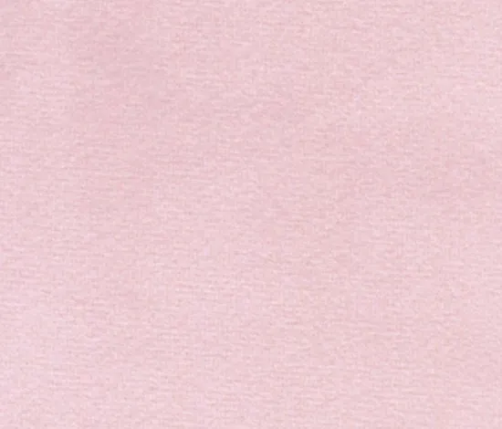 Blush Pink Velvet Dog Collar